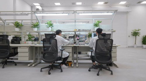 全年近50萬輛 上海超級工廠如何為特斯拉全球交付量貢獻半壁江山